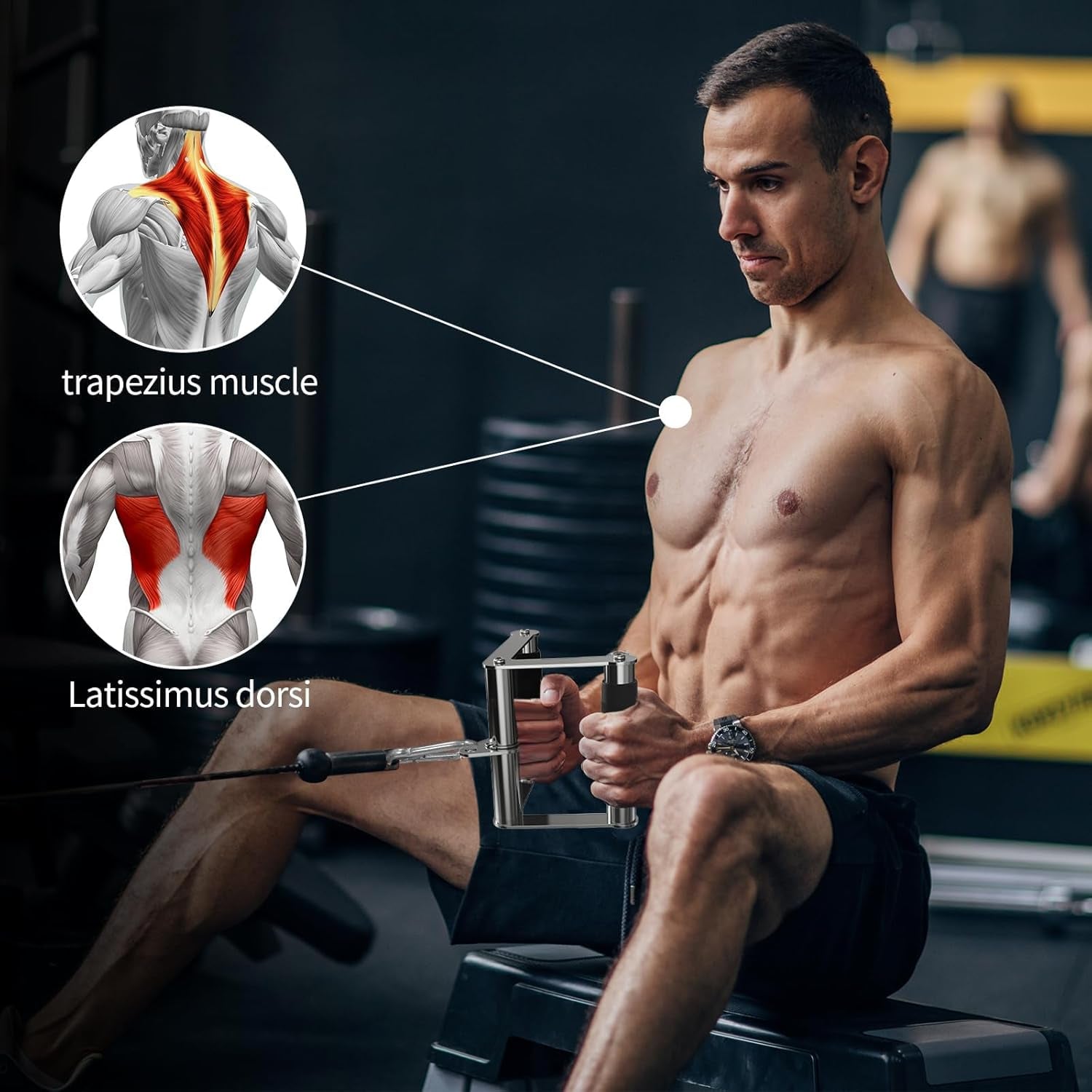 Accesorio para Máquina de Poleas, Accesorios LAT Pulldown – Equipos para Poleas de Gimnasio, Accesorios para Gimnasio en Casa.